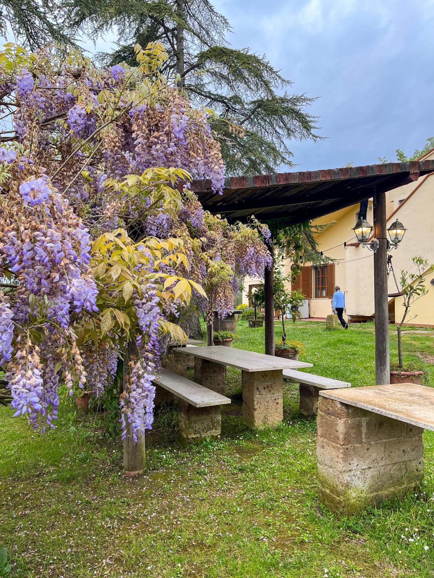 Tuscany Time Montefoscoli Exterior foto